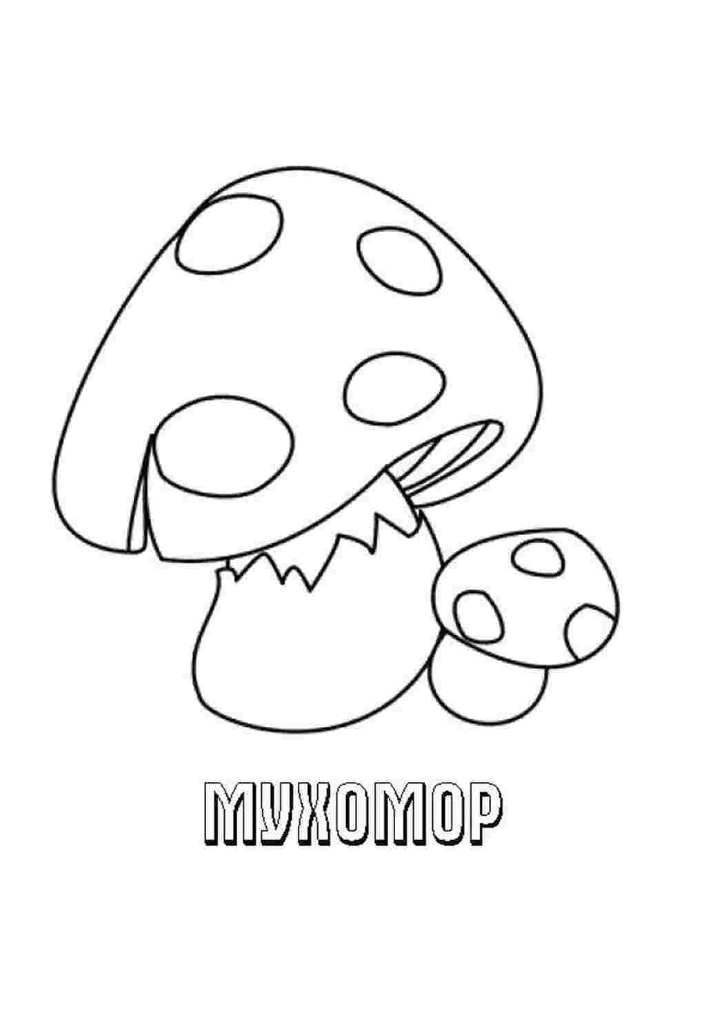 Раскраска гриб