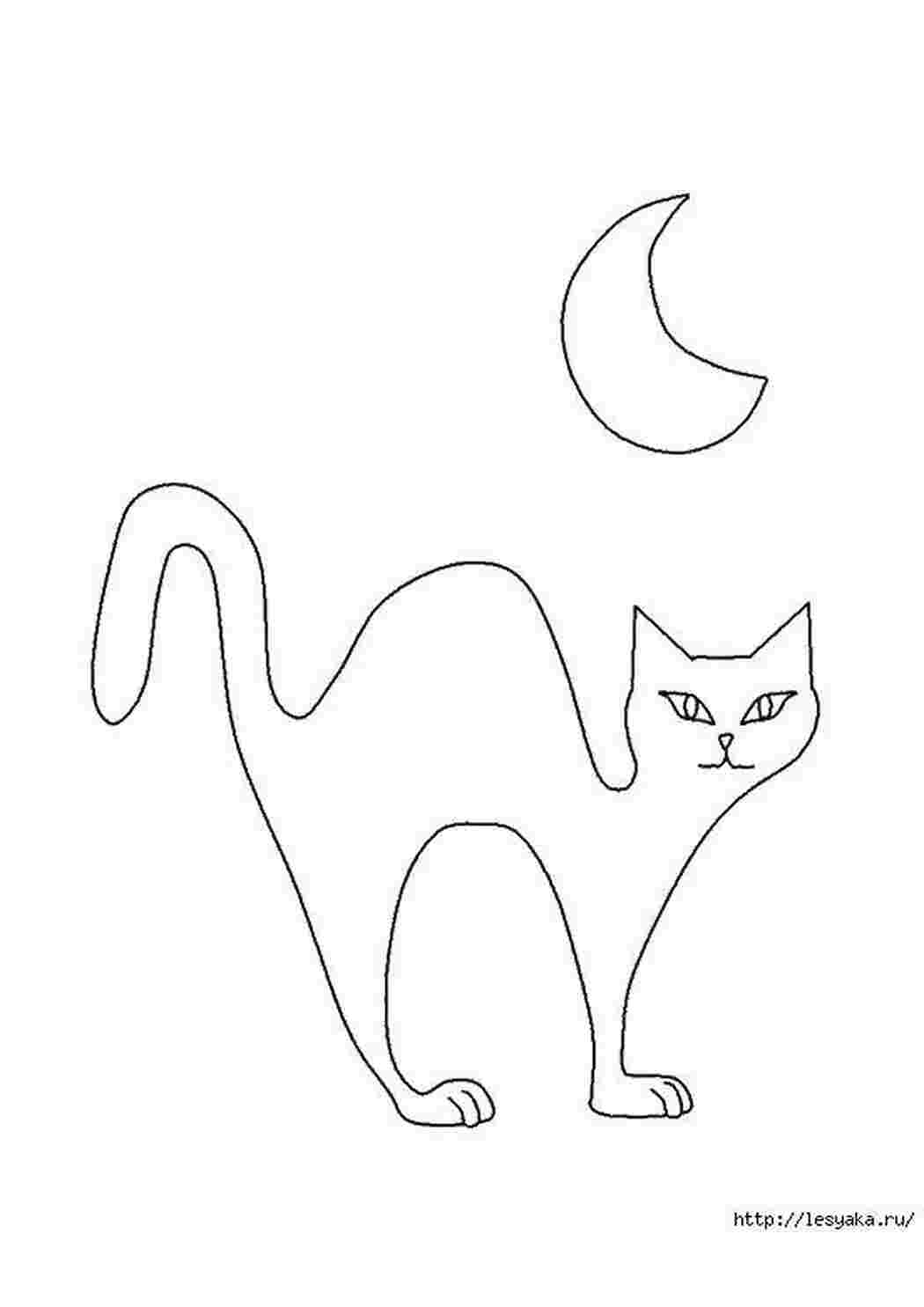 Кошка для вырезания из бумаги. Шаблон котика для рисования. Контур кошки. Трафарет кошки для рисования. Шаблон кота для рисования.