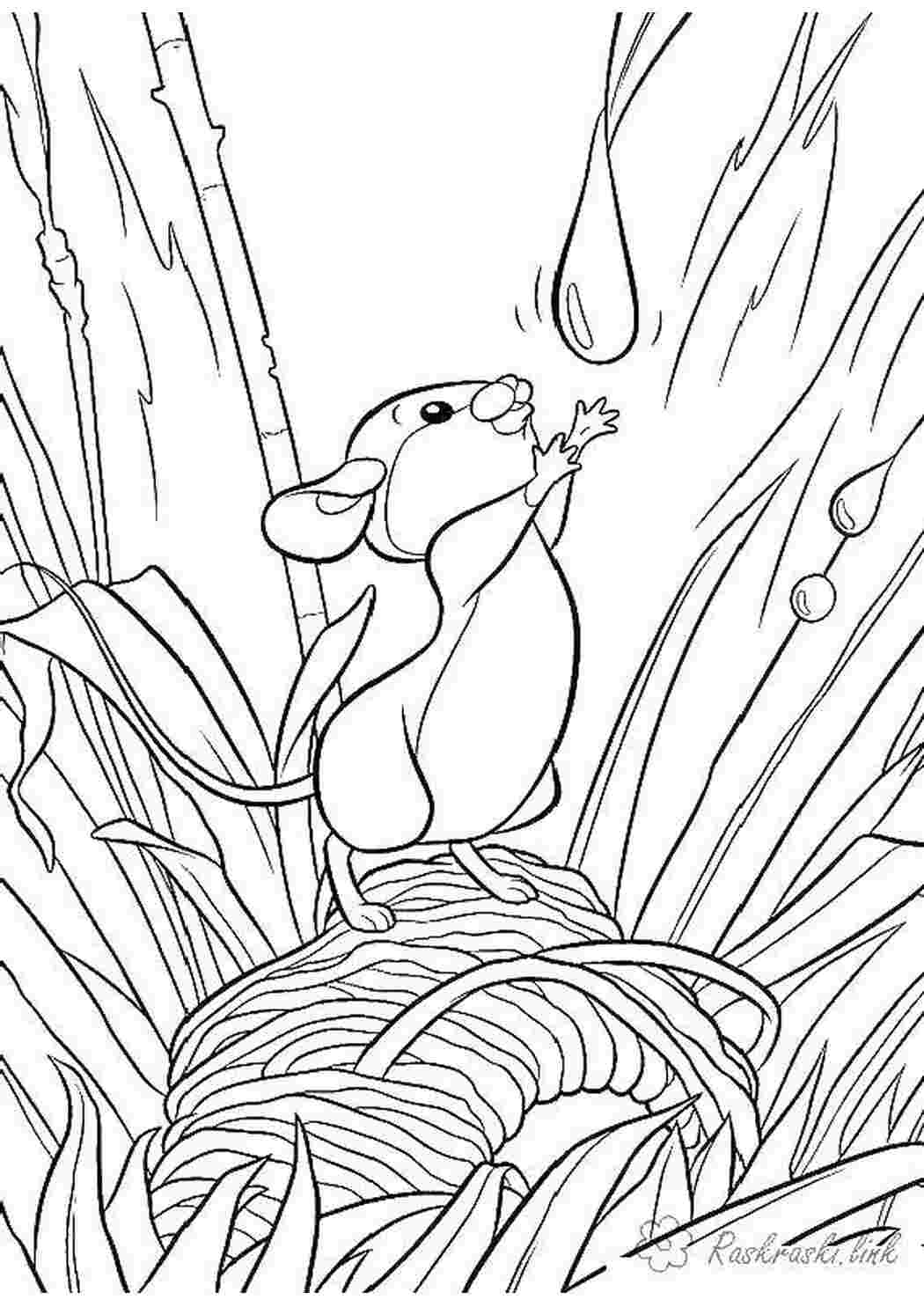 Раскраска Мышка