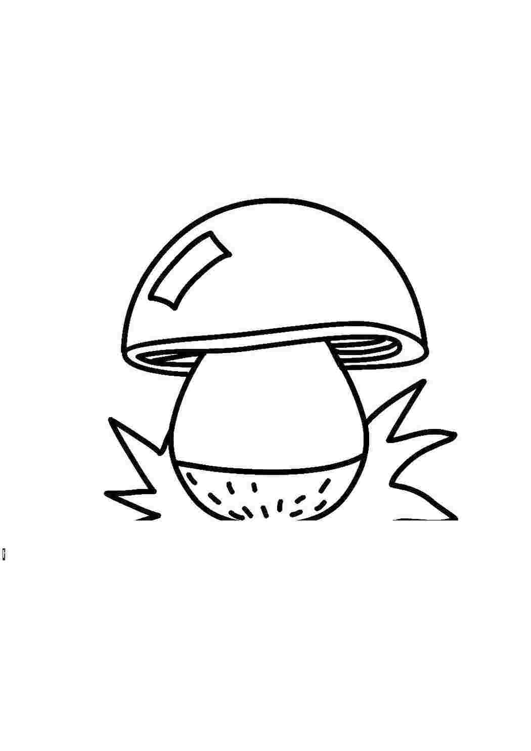 Раскраска Грибы