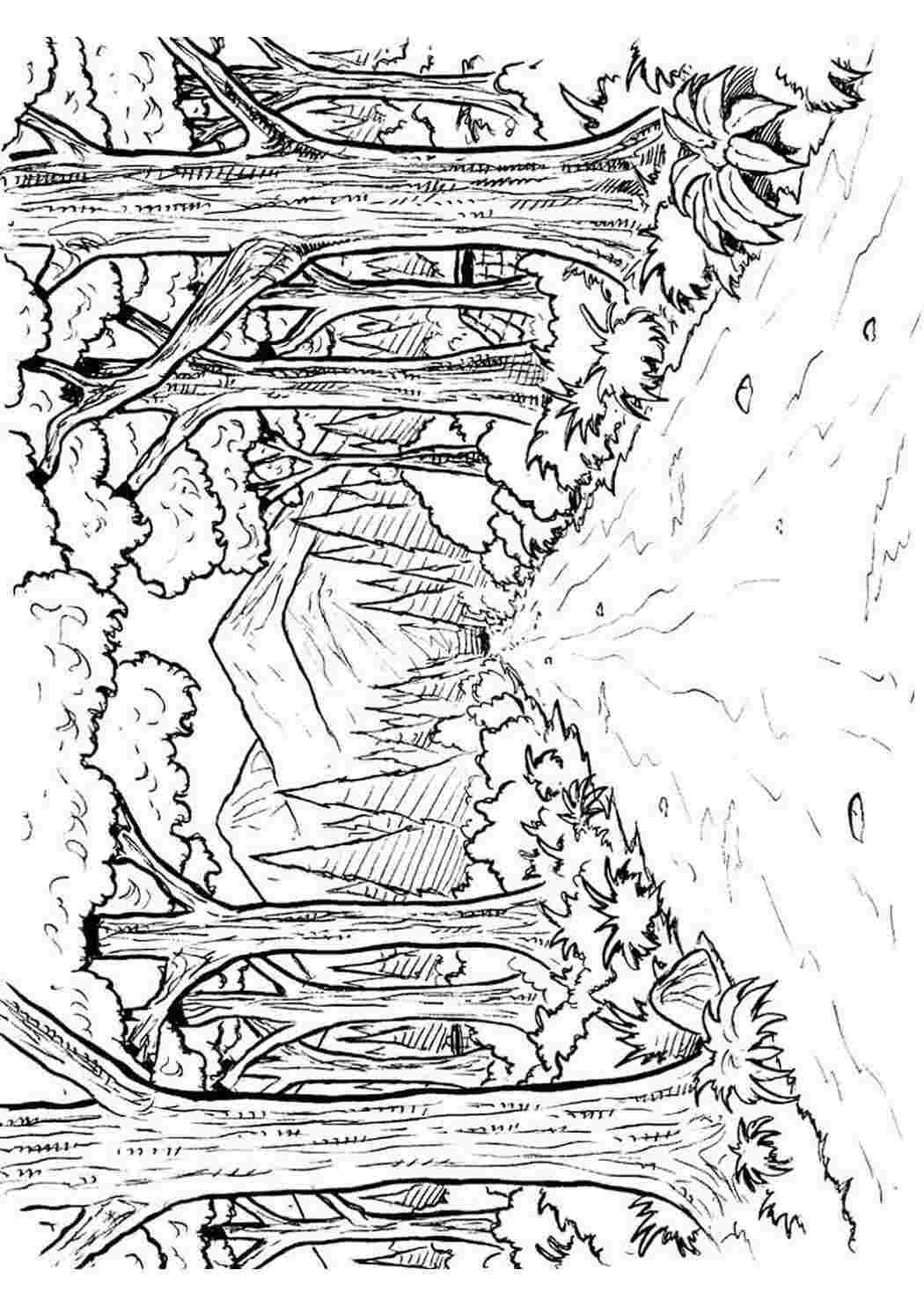 Раскраска Скачать или распечатать раскраску распечатать скачать