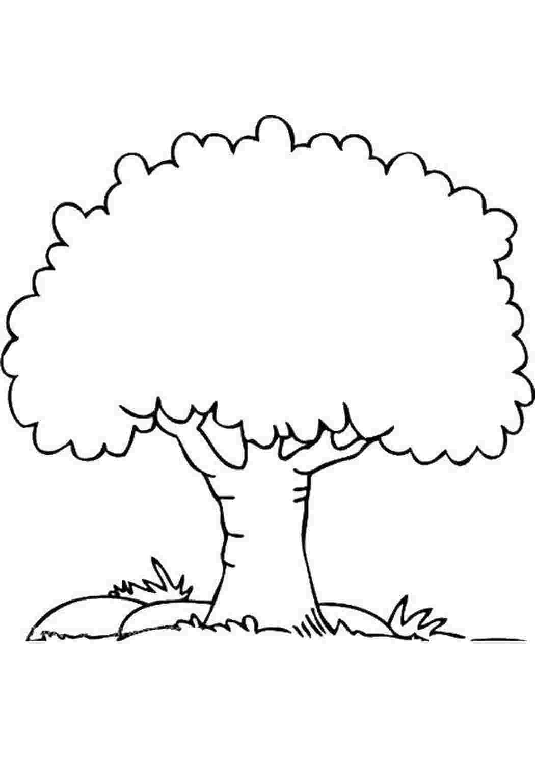 Силуэт дерева раскраска для детей