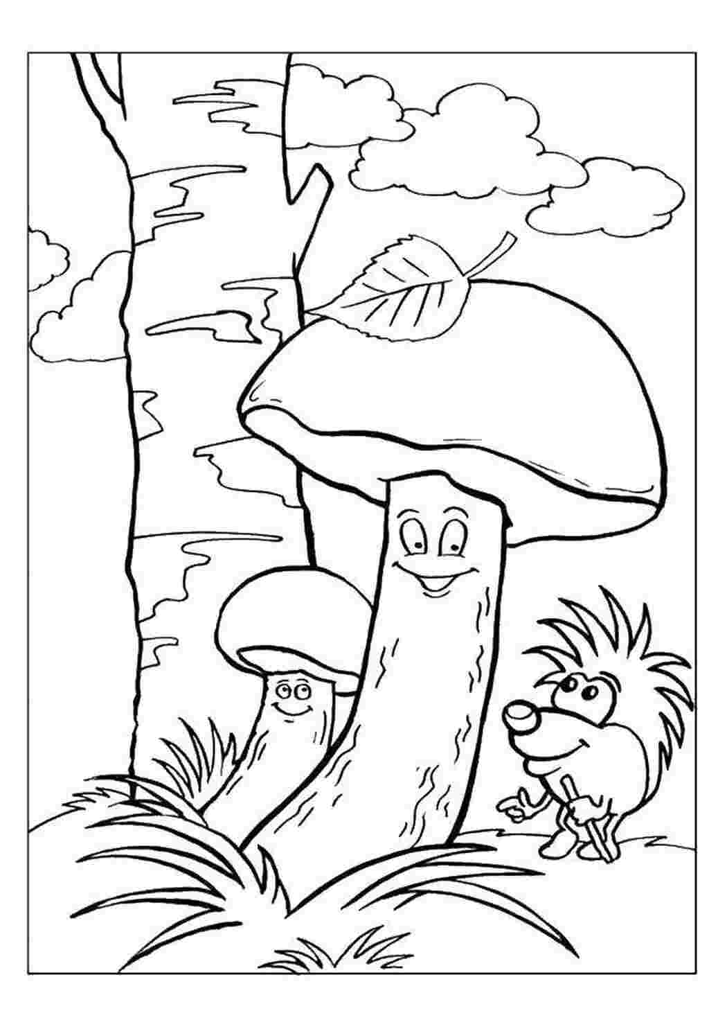 Раскраска Грибы