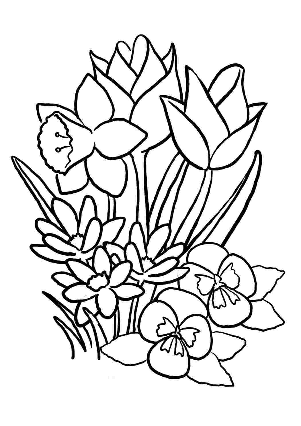 Раскраска Пышный букет