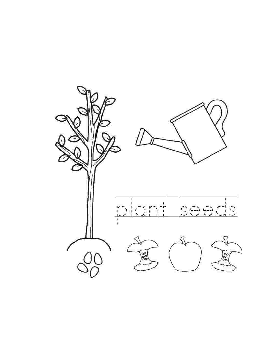 Раскраска Пропись