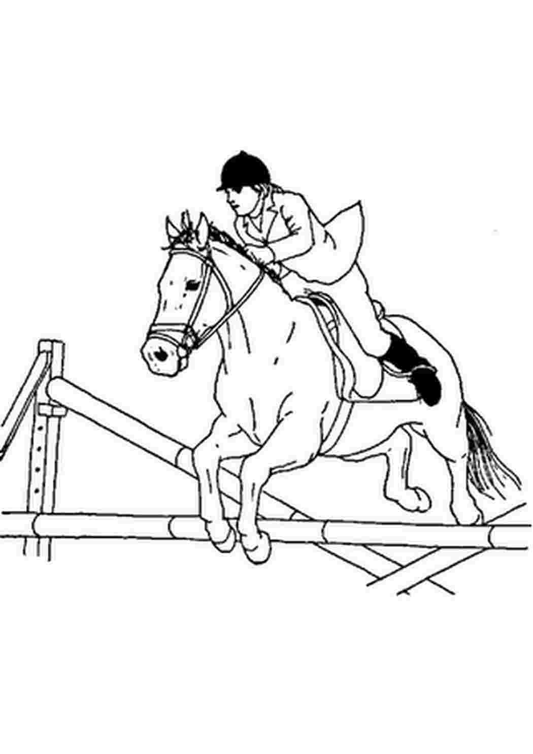 Раскраска конный спорт