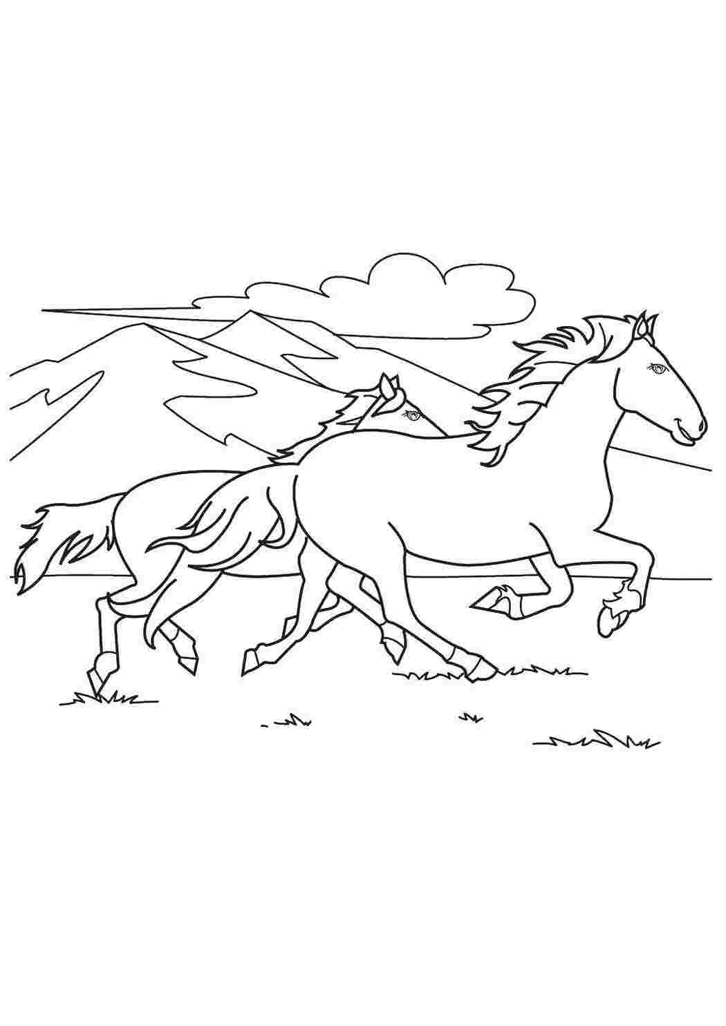 Раскраска Дикие лошади