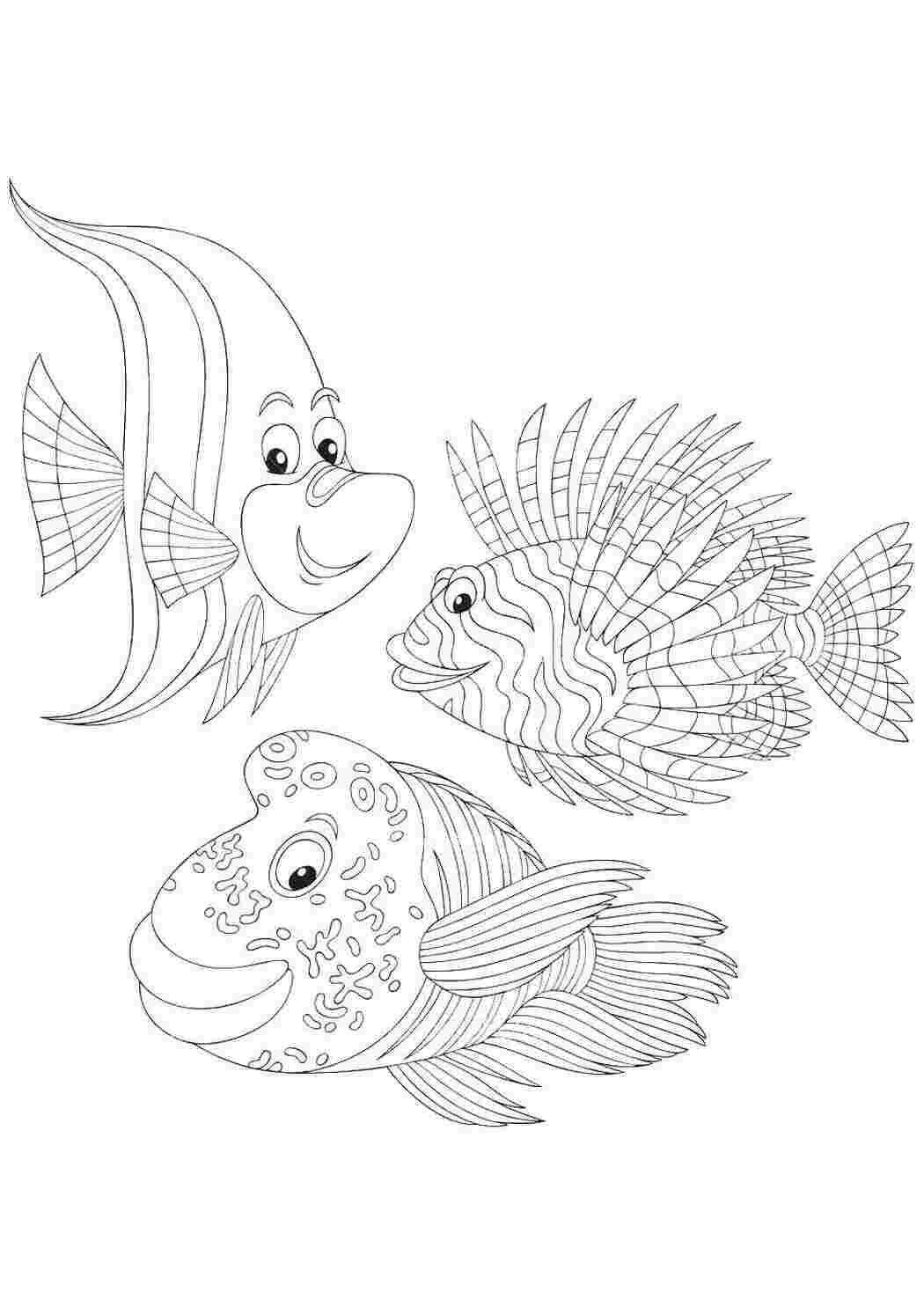 Раскраска Рыбы