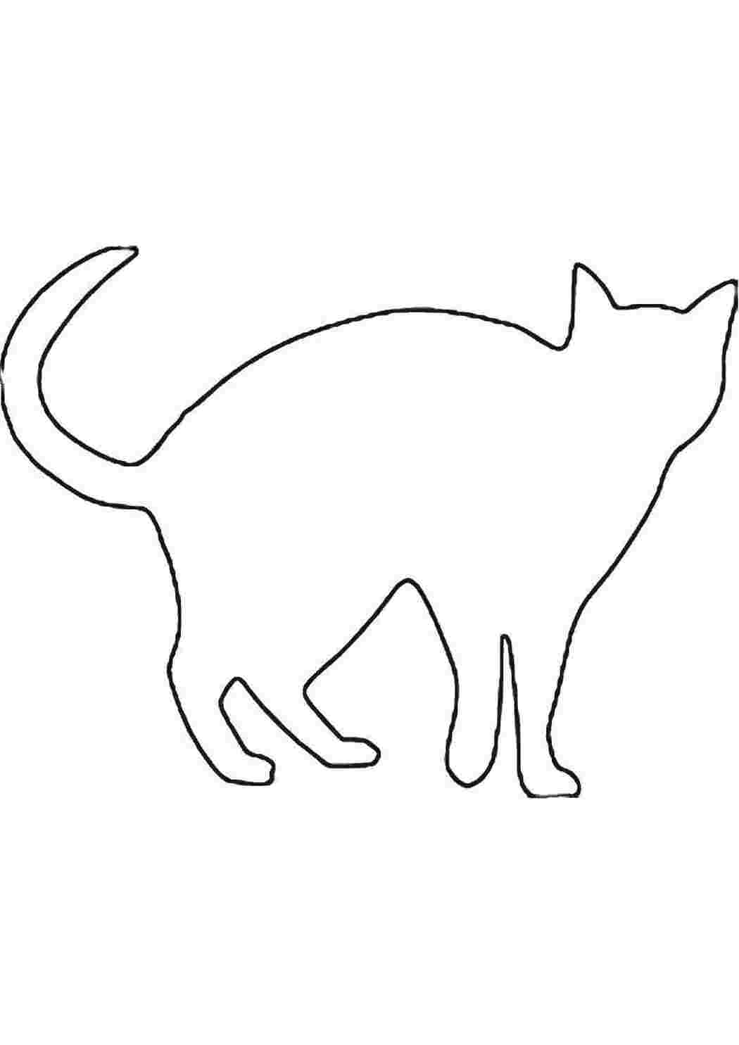 Контурное изображение кошки