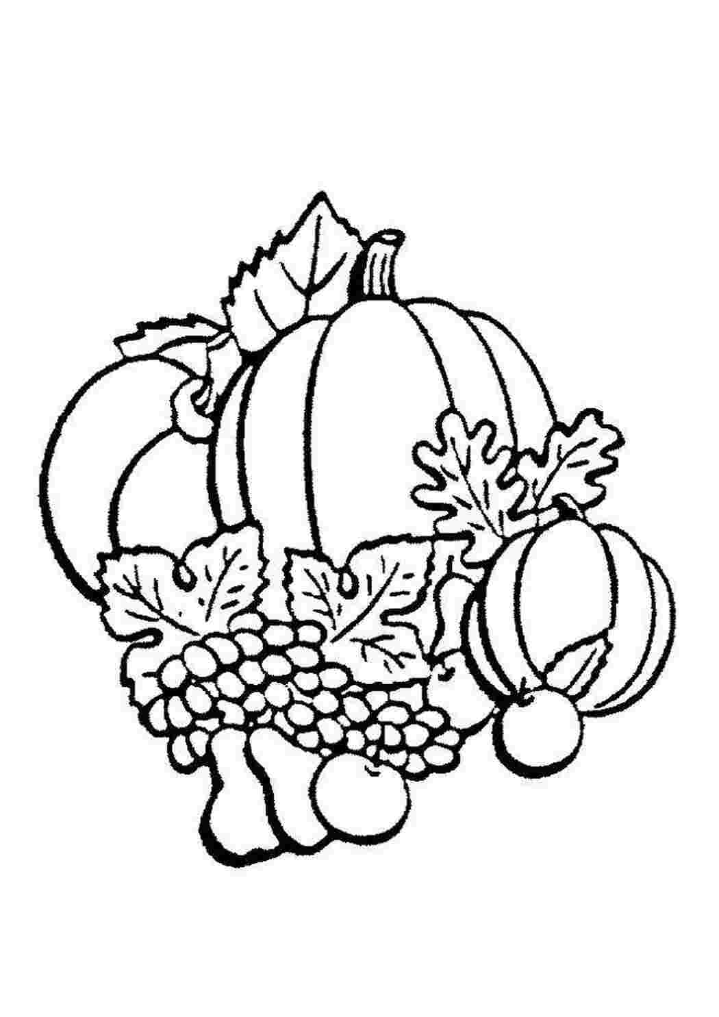 Раскраска Овощи