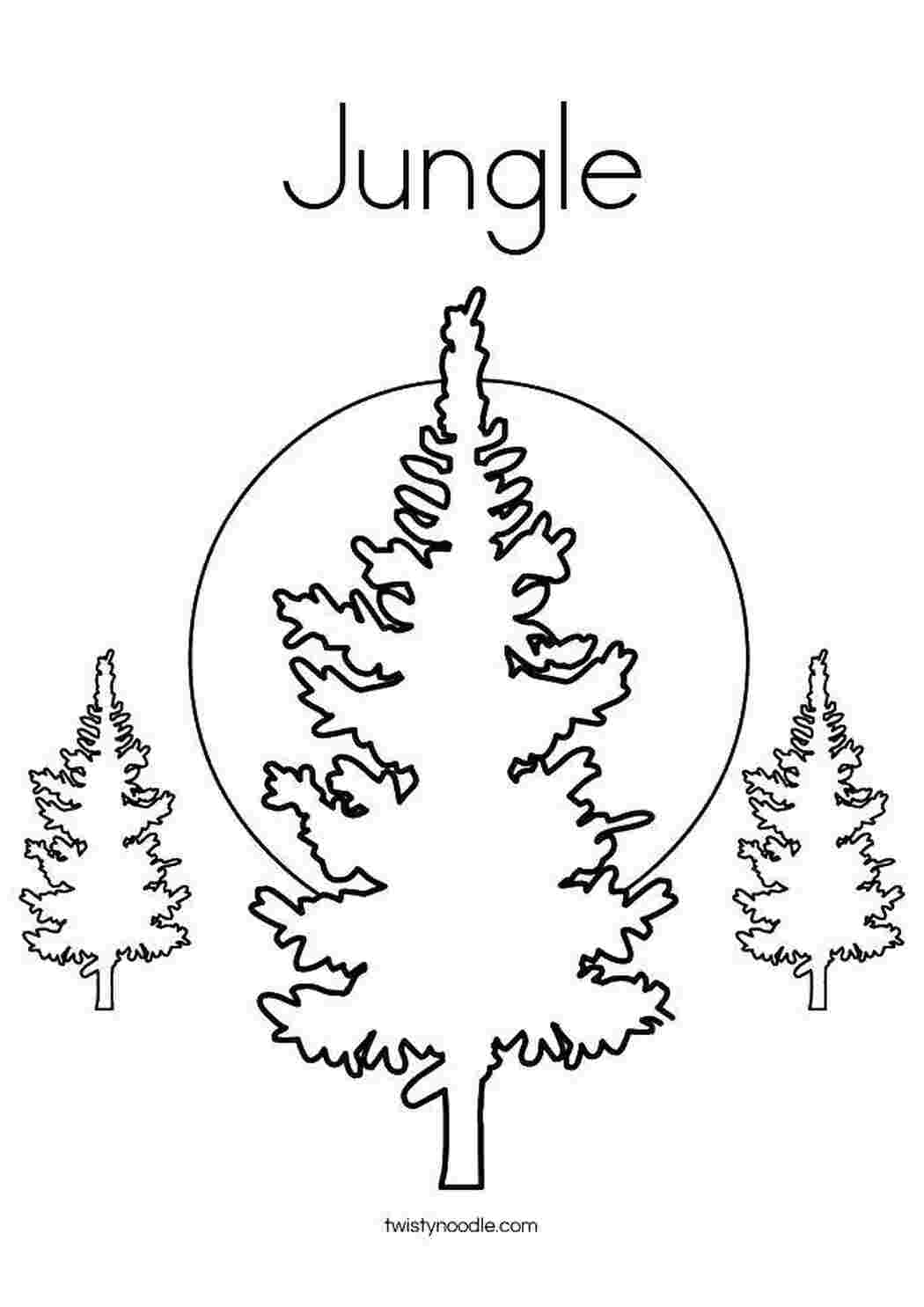 Раскраска Джунгли