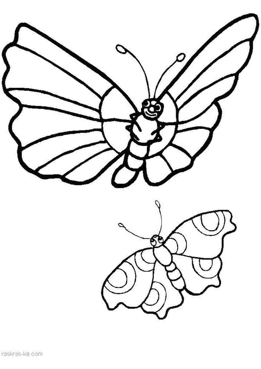 Раскраска Раскрасить бабочек