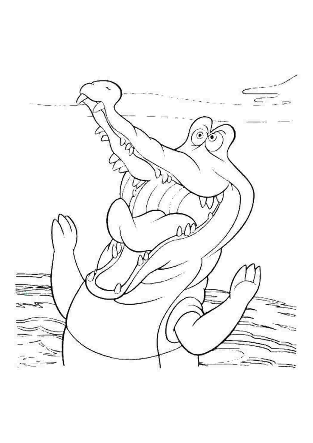 Раскраска Крокодил