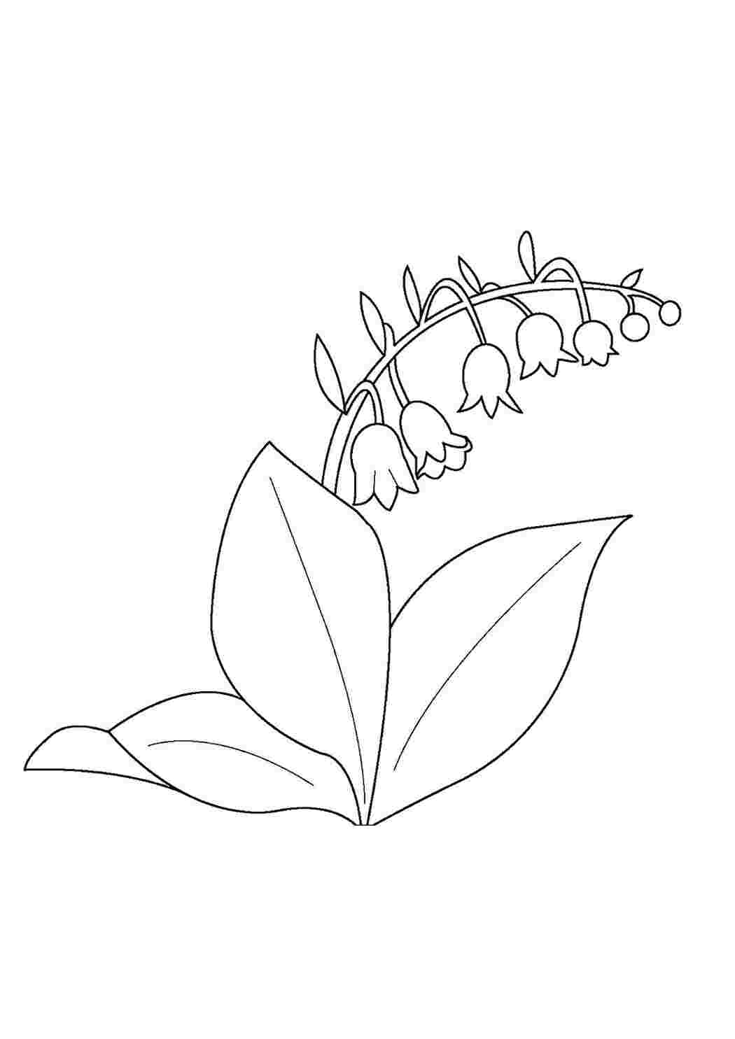 Раскраска Колокольчики