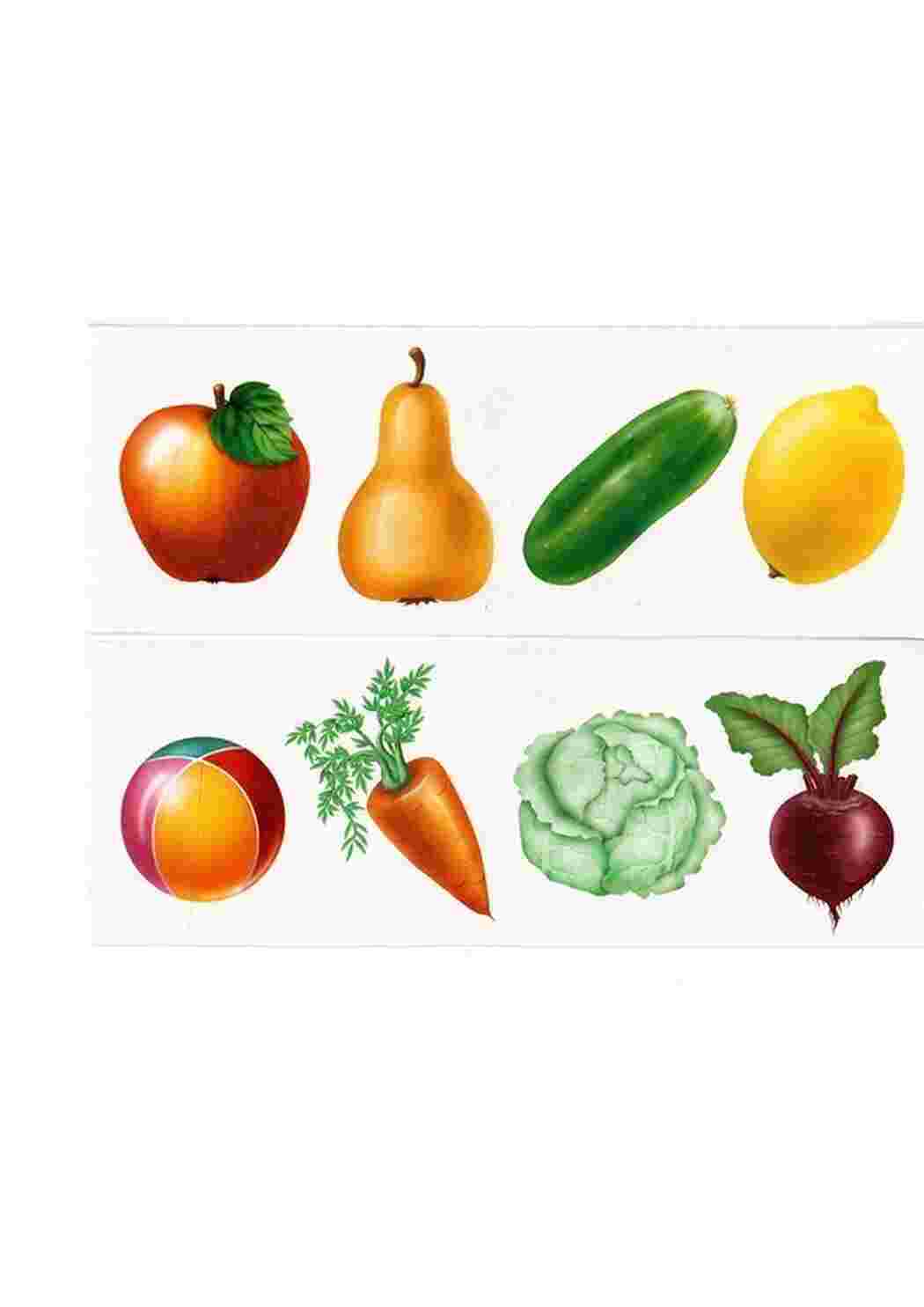 Овощи картинки дидактический материал