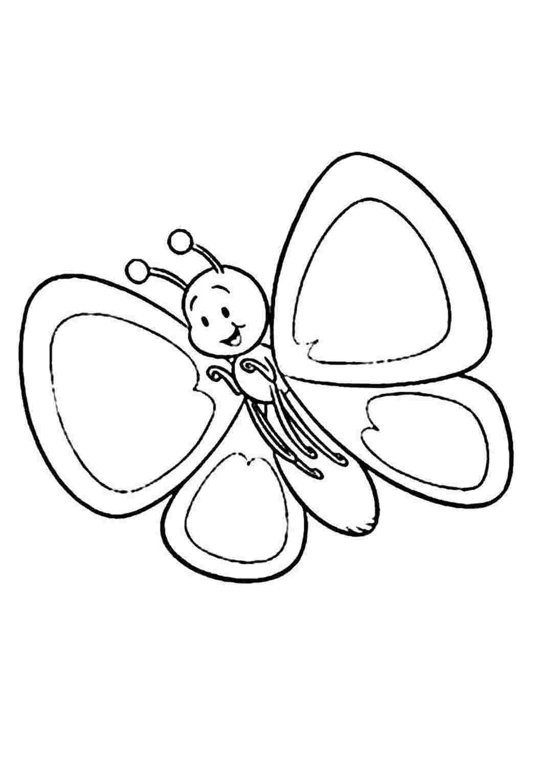 Раскраска Бабочка