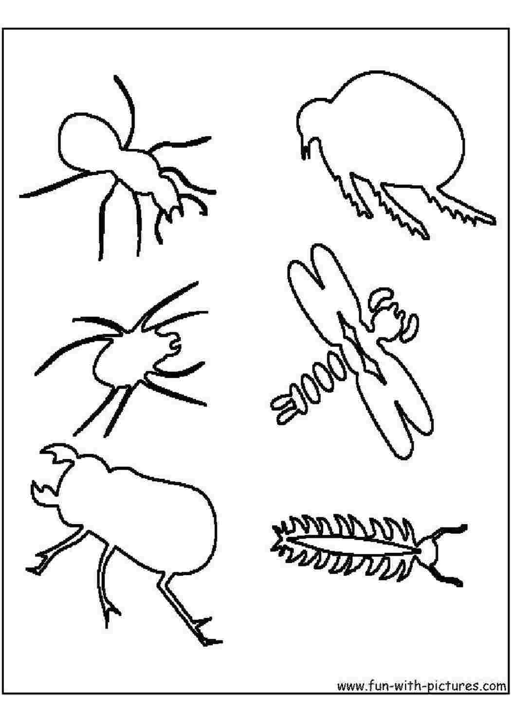 Схематически насекомое. Насекомые контур. Контуры животных птиц насекомых для детей. Картинки контуры насекомые. Нарисованные насекомые контуры.