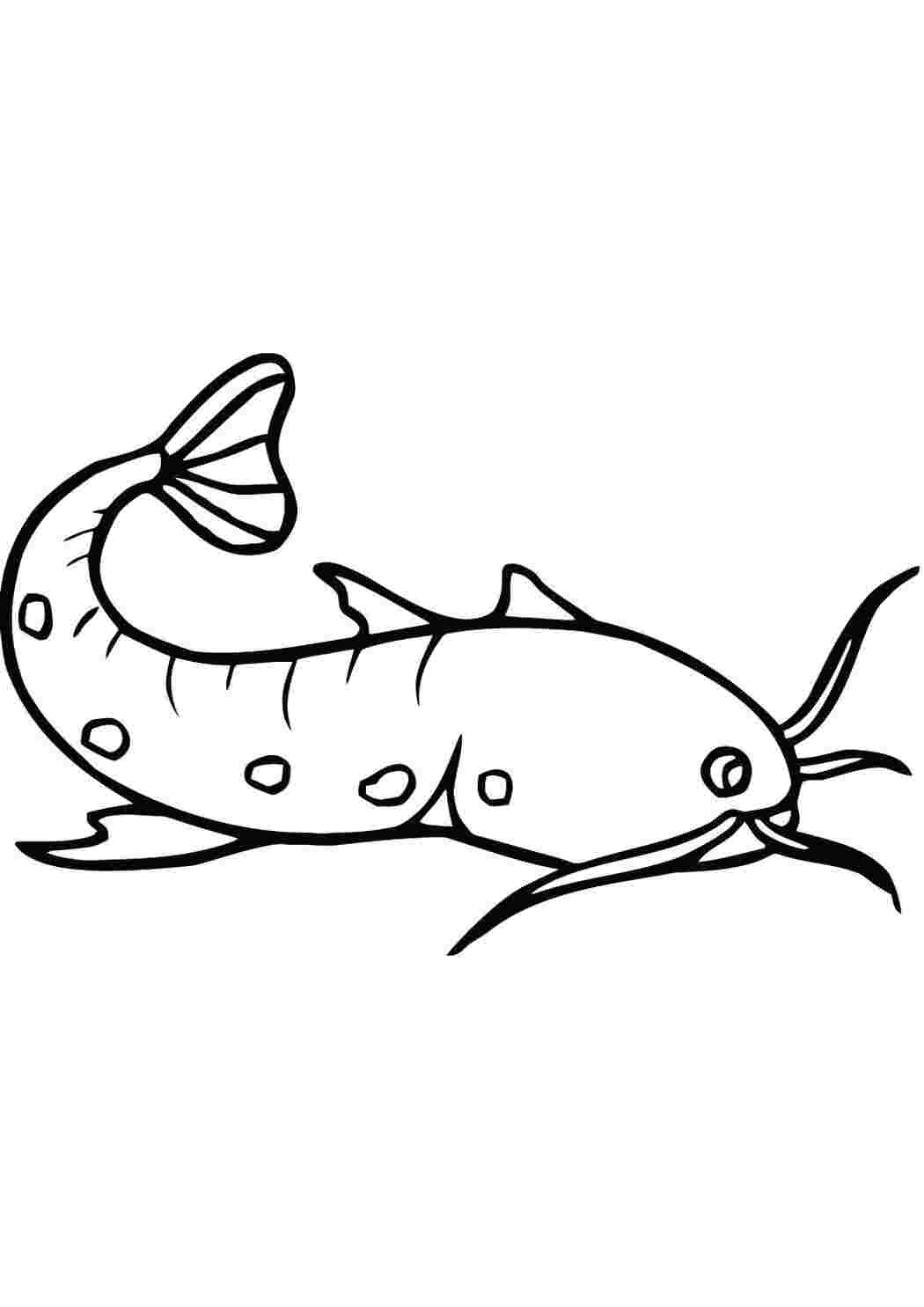 Раскраска Усатик