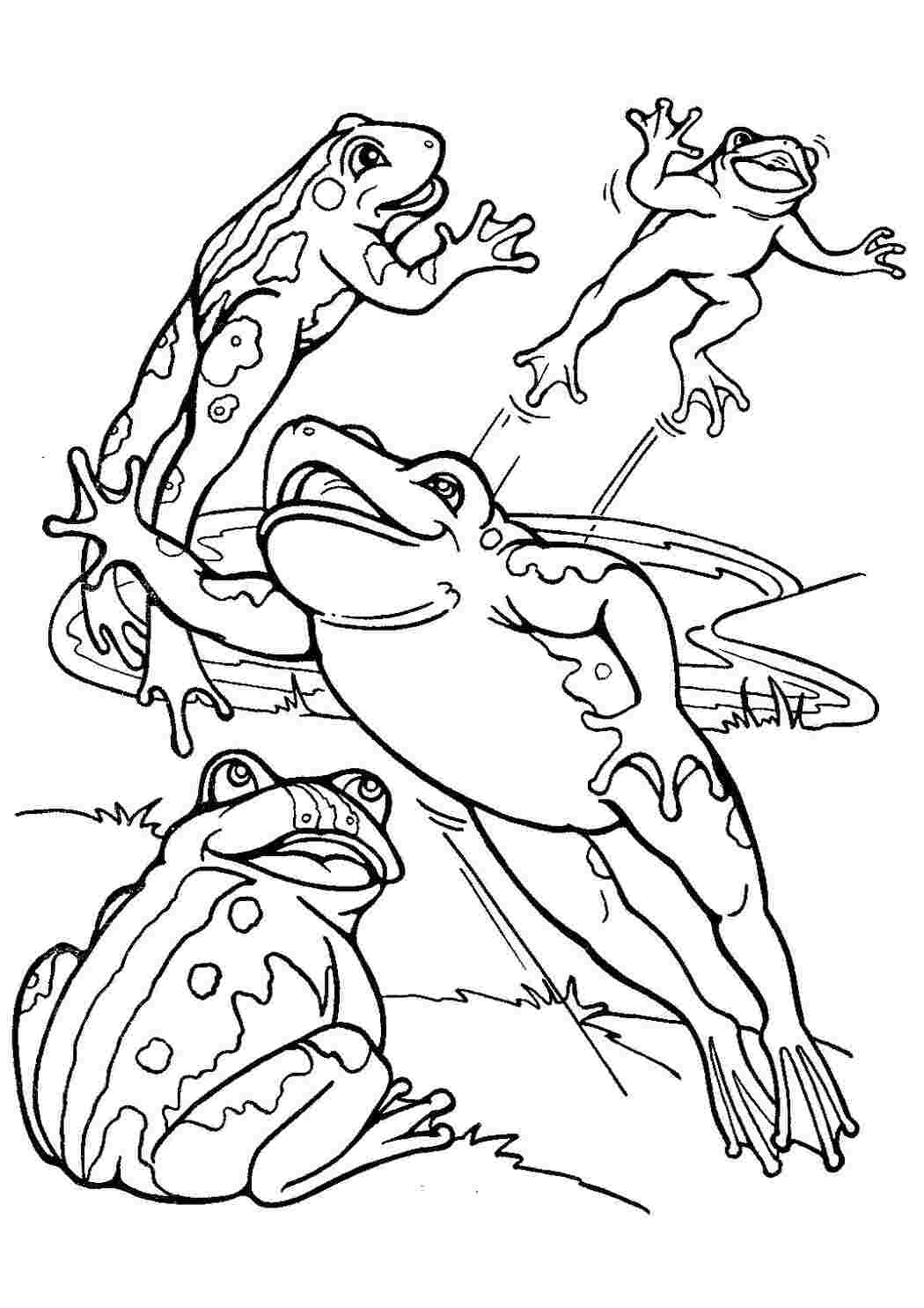 Раскраска Лягушка