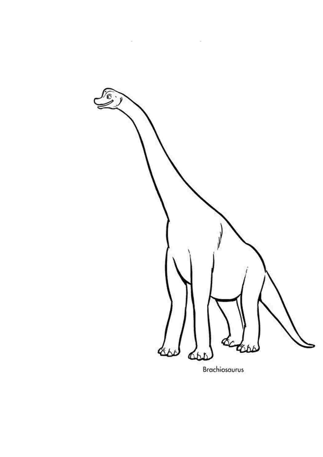 Бронтозавр раскраска