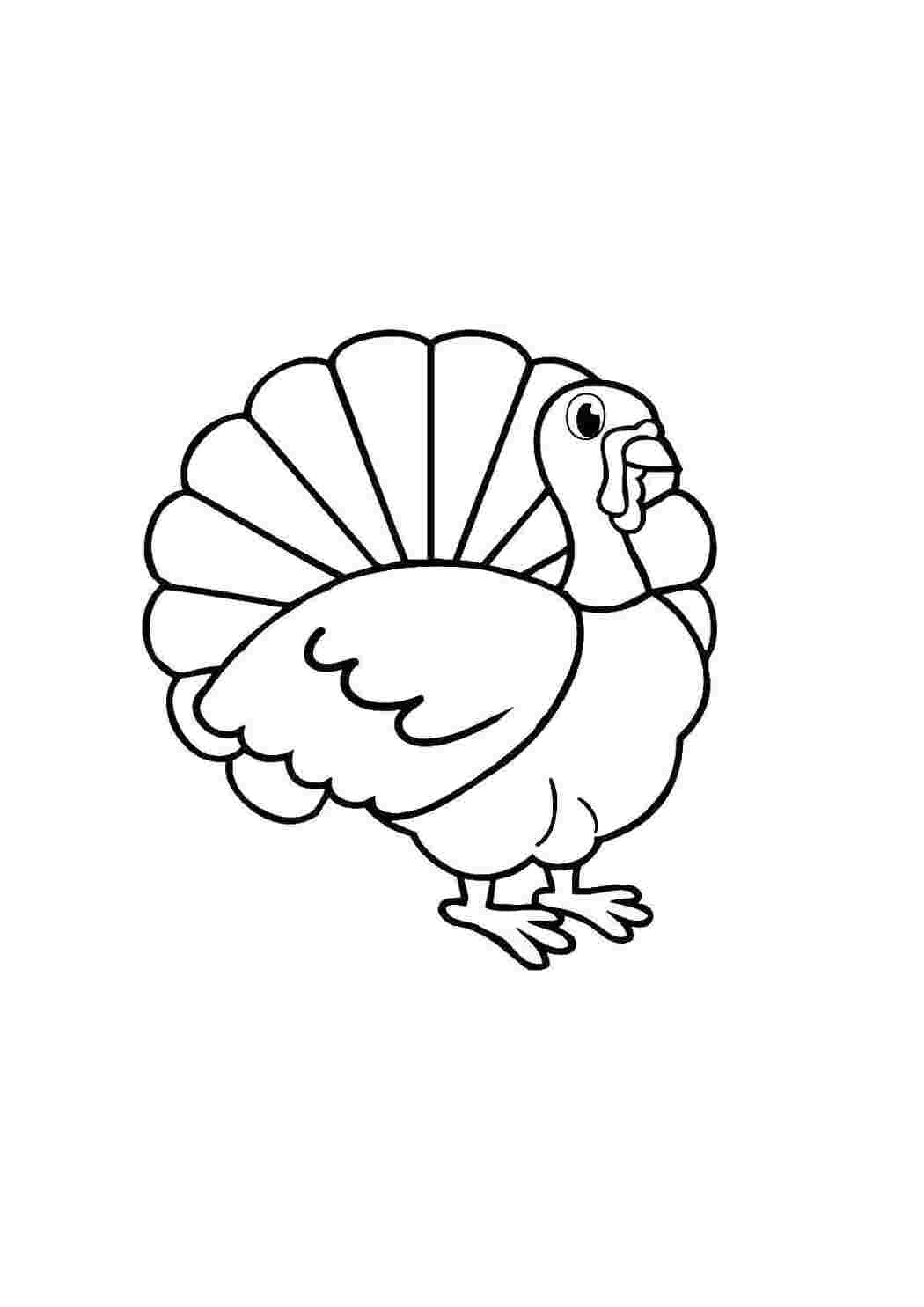 Раскраска Индейка
