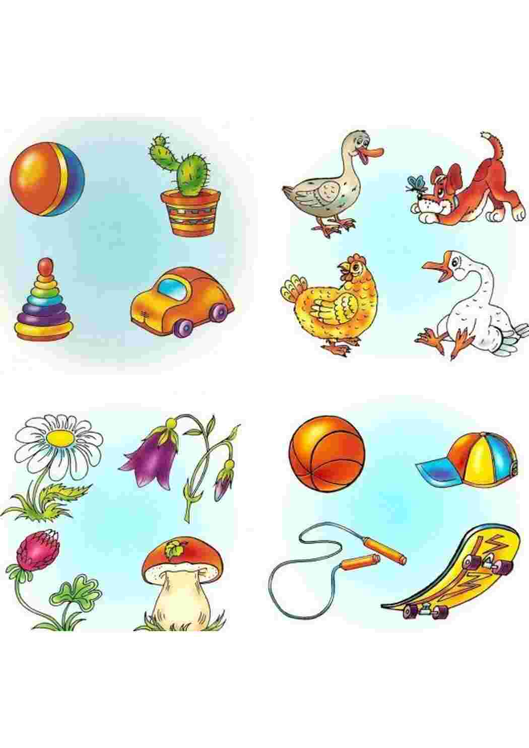 Раскраска назови одним словом для детей