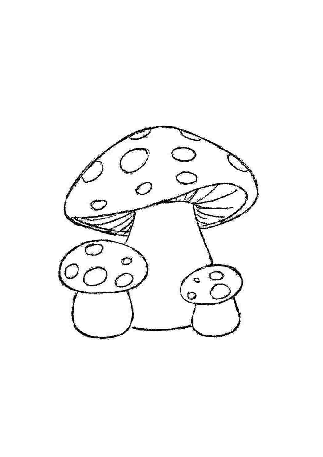 Раскраска Мухоморы