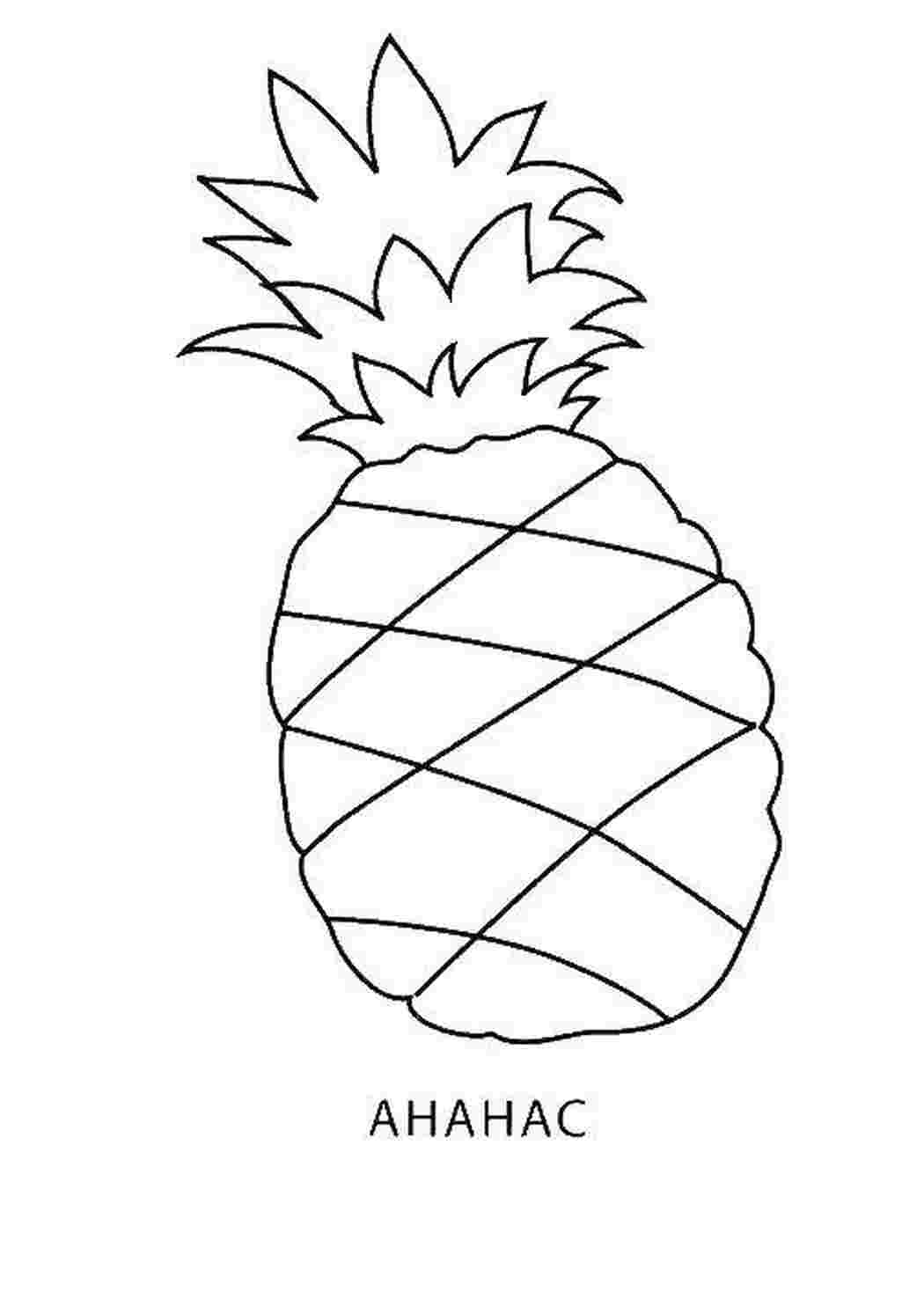 Раскраска Ананас