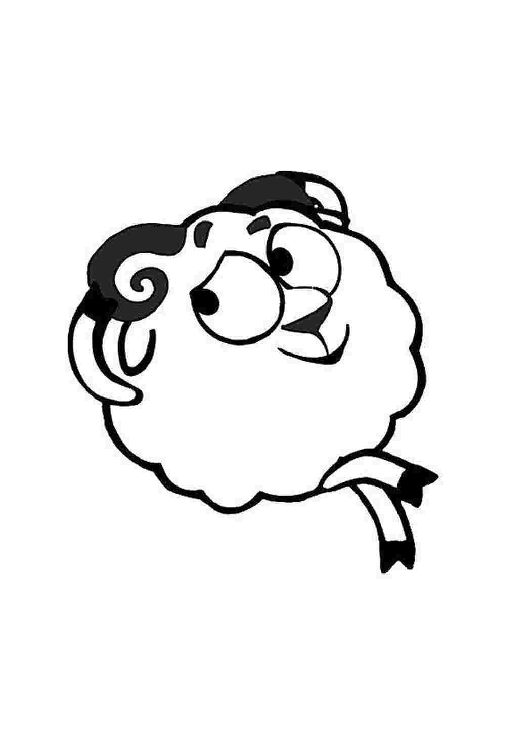 Раскраска Барашек