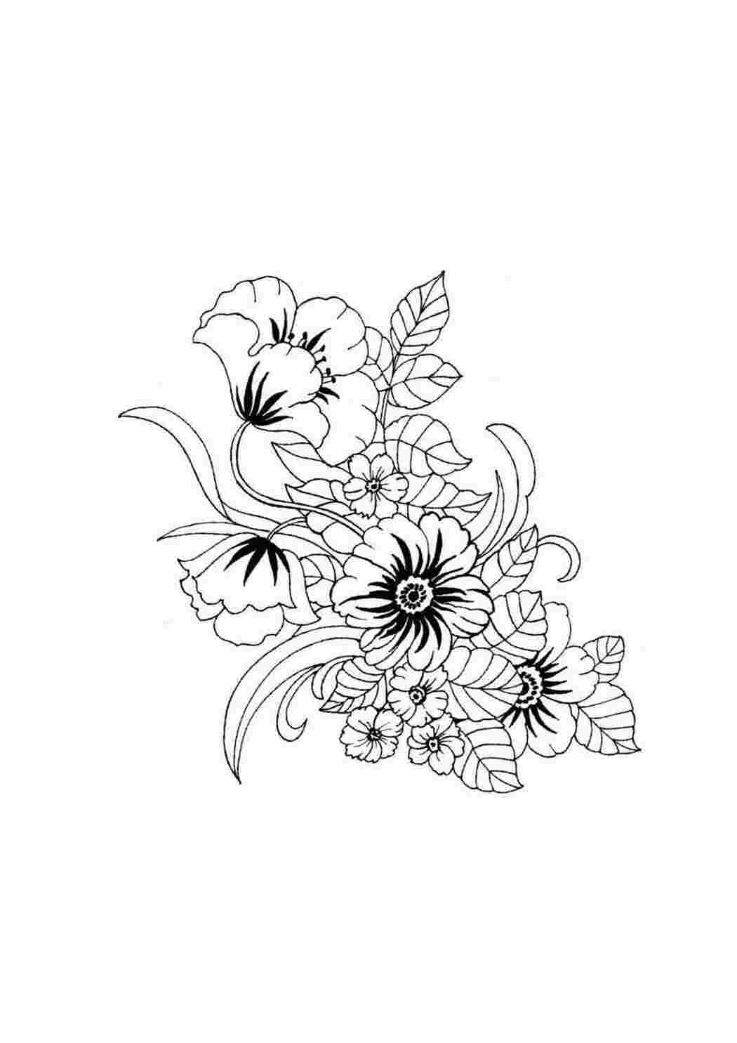 Раскраска Скачать или распечатать раскраску распечатать скачать