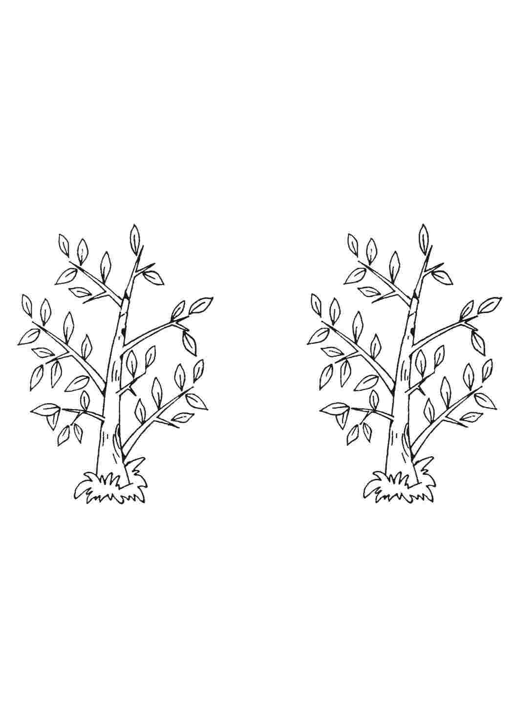 Раскраска Дерево