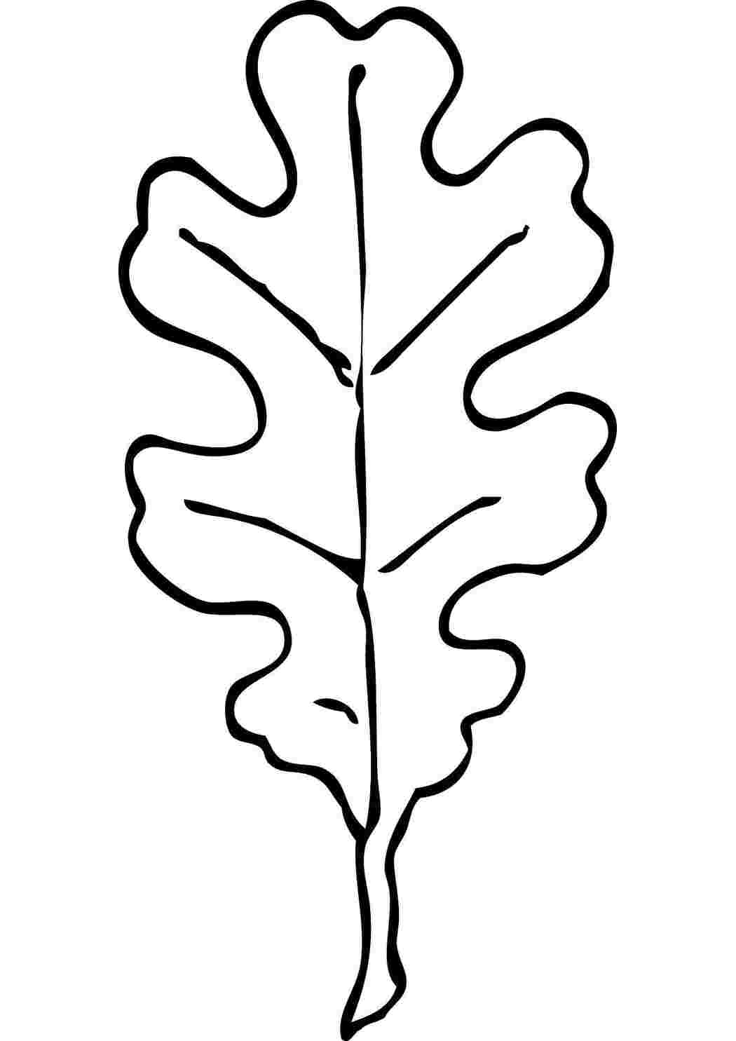 Схема дубовых листьев. Лист дуба. Дубовый лист контур. Дубовый лист трафарет. Лист дуба трафарет для вырезания.