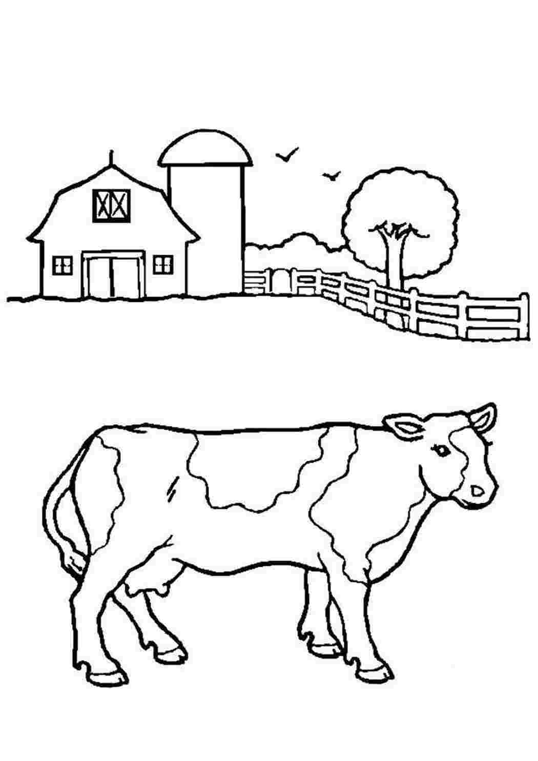 Раскрашивать коров. Раскраска корова. Раскраска домашние животные. Домашние животные раскраска для детей. Раскраски домашних животных для детей.