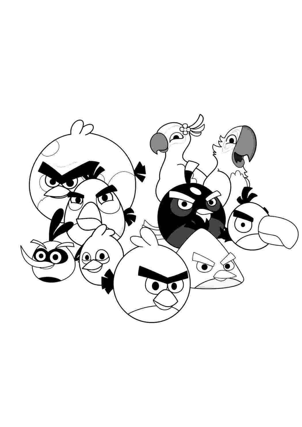 Раскраски, Angry birds злые птички и птички из мультфильма рио Раскраски  для детей мальчиков. Сезон angry birds злые птички Раскраски для детей  мальчиков. Angry birds злые птички, треугольная птичка в очках Раскраски