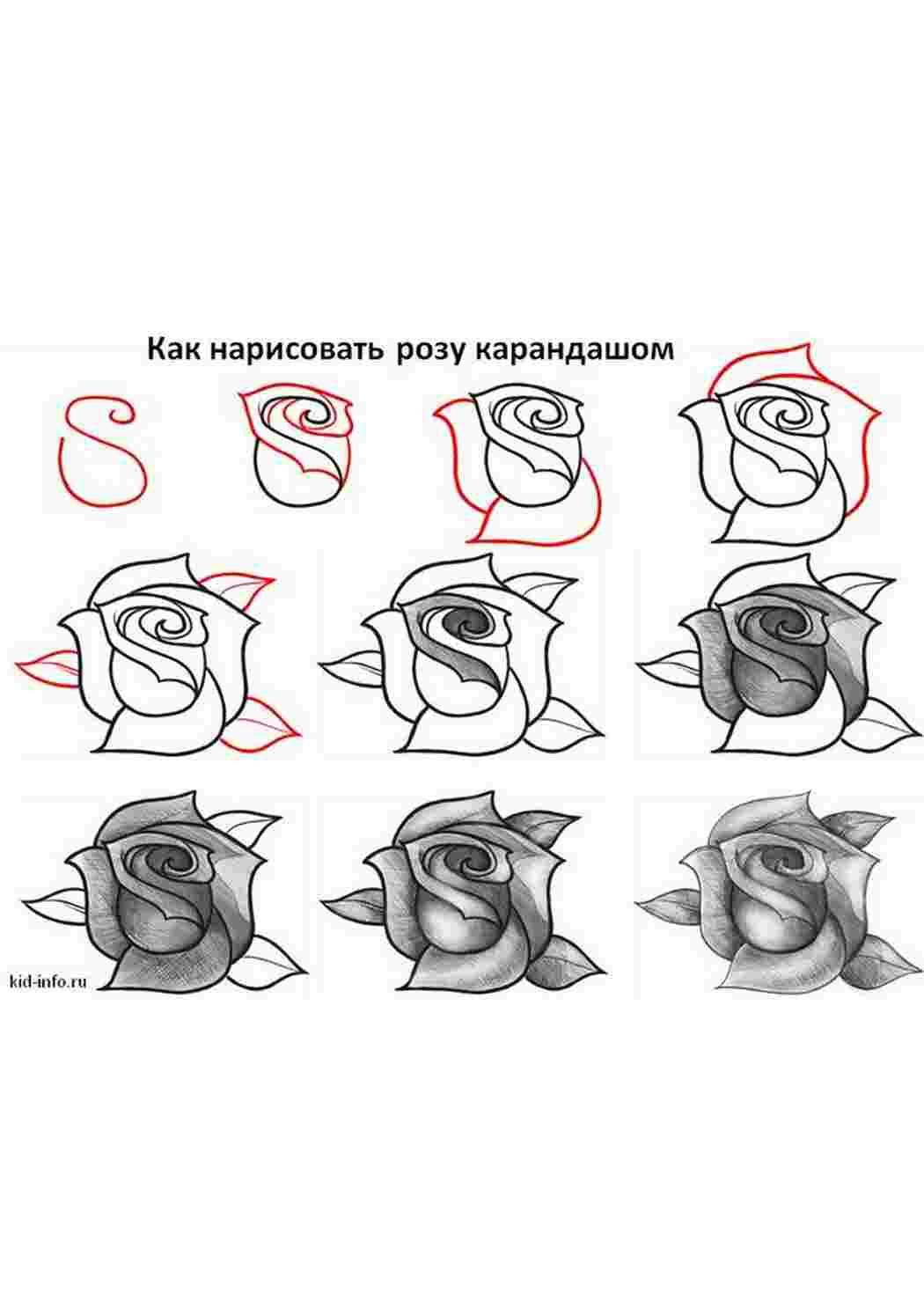 Как нарисовать объемную розу