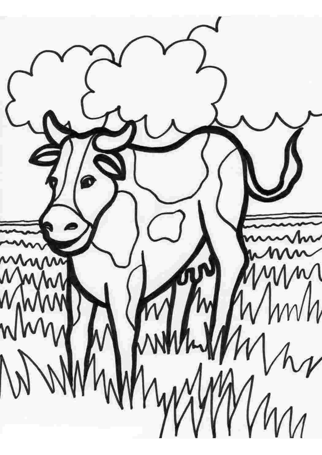 Раскрашивать коров. Раскраска корова. Домашние животные раскраска для детей. Корова раскраска для детей. Раскраски домашних животных для детей.
