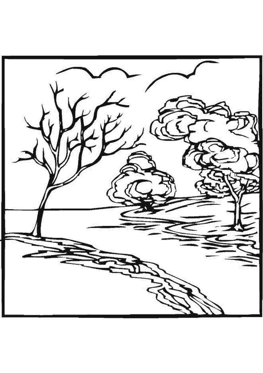 Раскраска Деревья