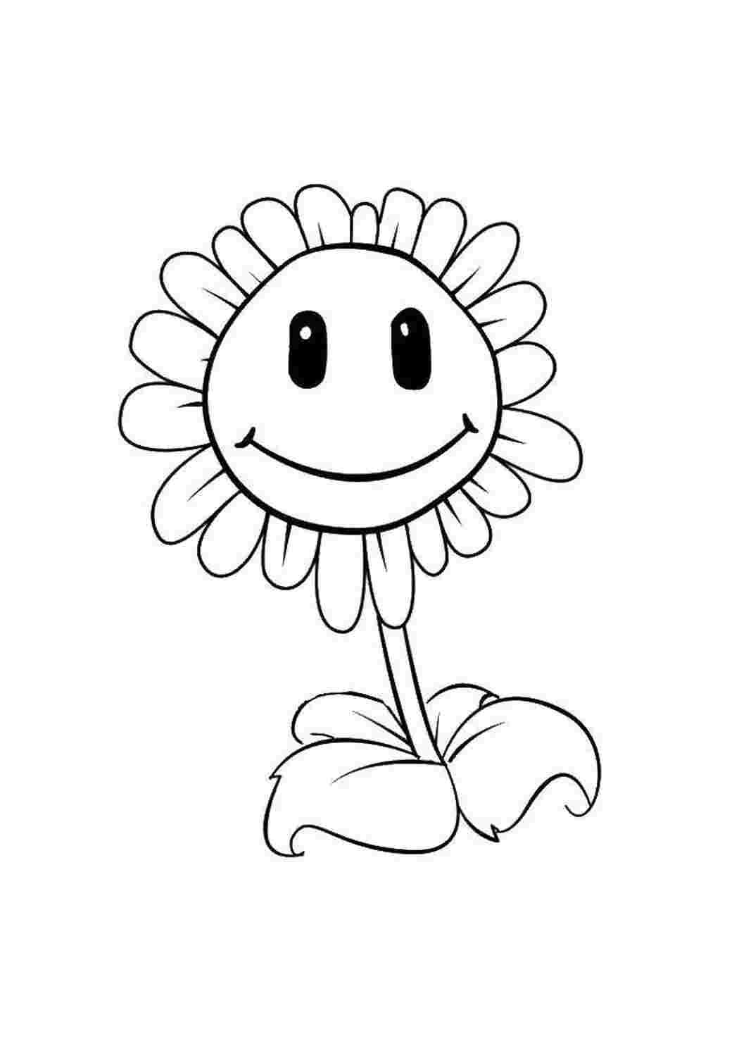 Раскраска Цветы