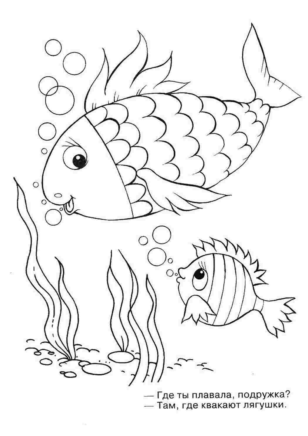 Раскраска Рыбы