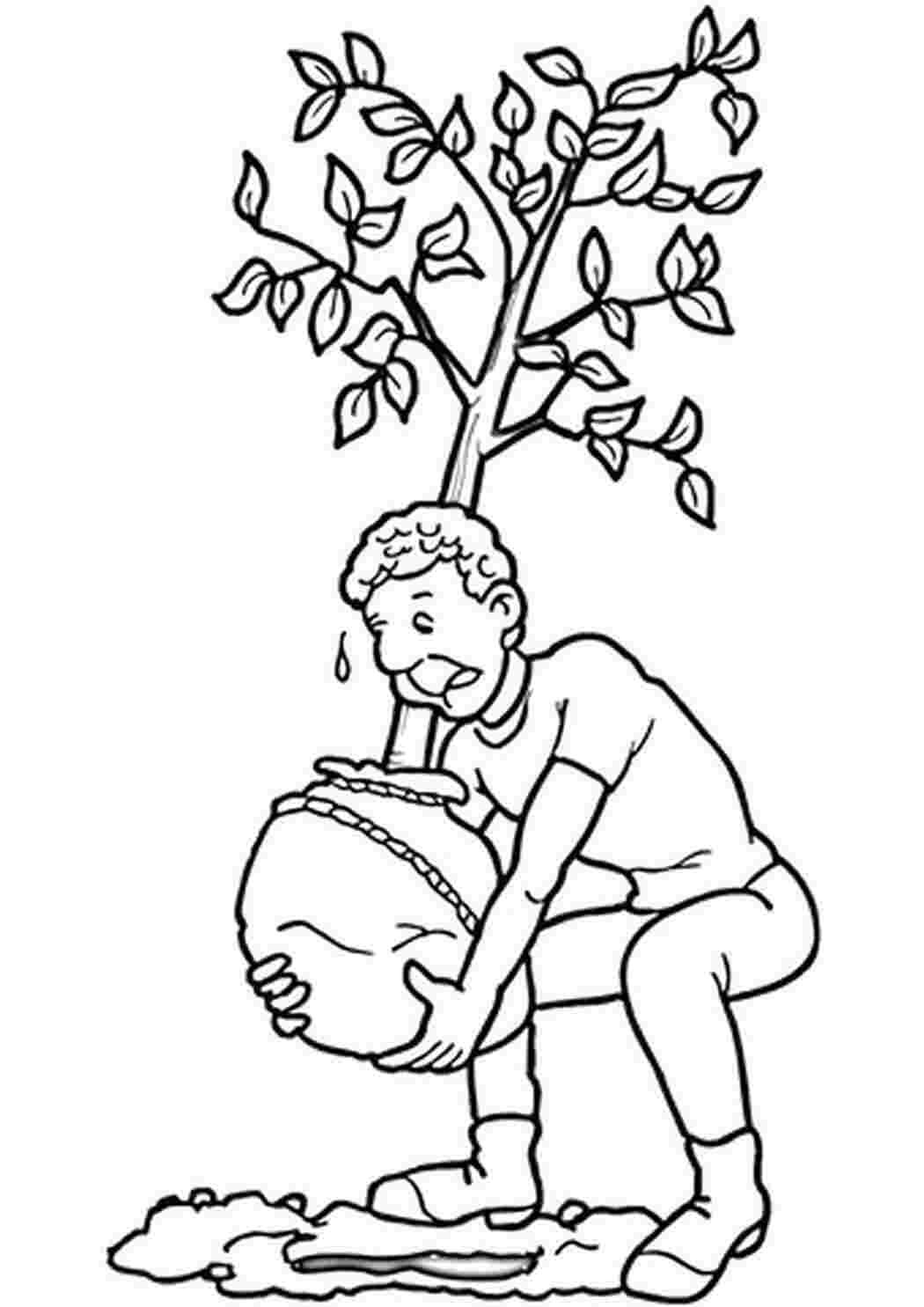 Схема человек дерево. Раскраска посадка деревьев. Раскраска садим деревья. Раскраска сажать деревья. Мальчик на дереве раскраска.