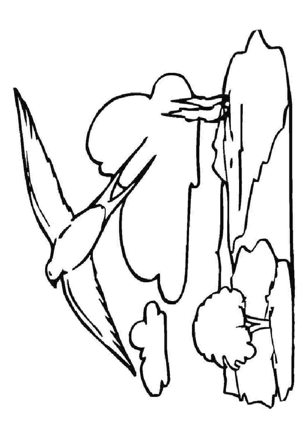 Раскраска Ласточка