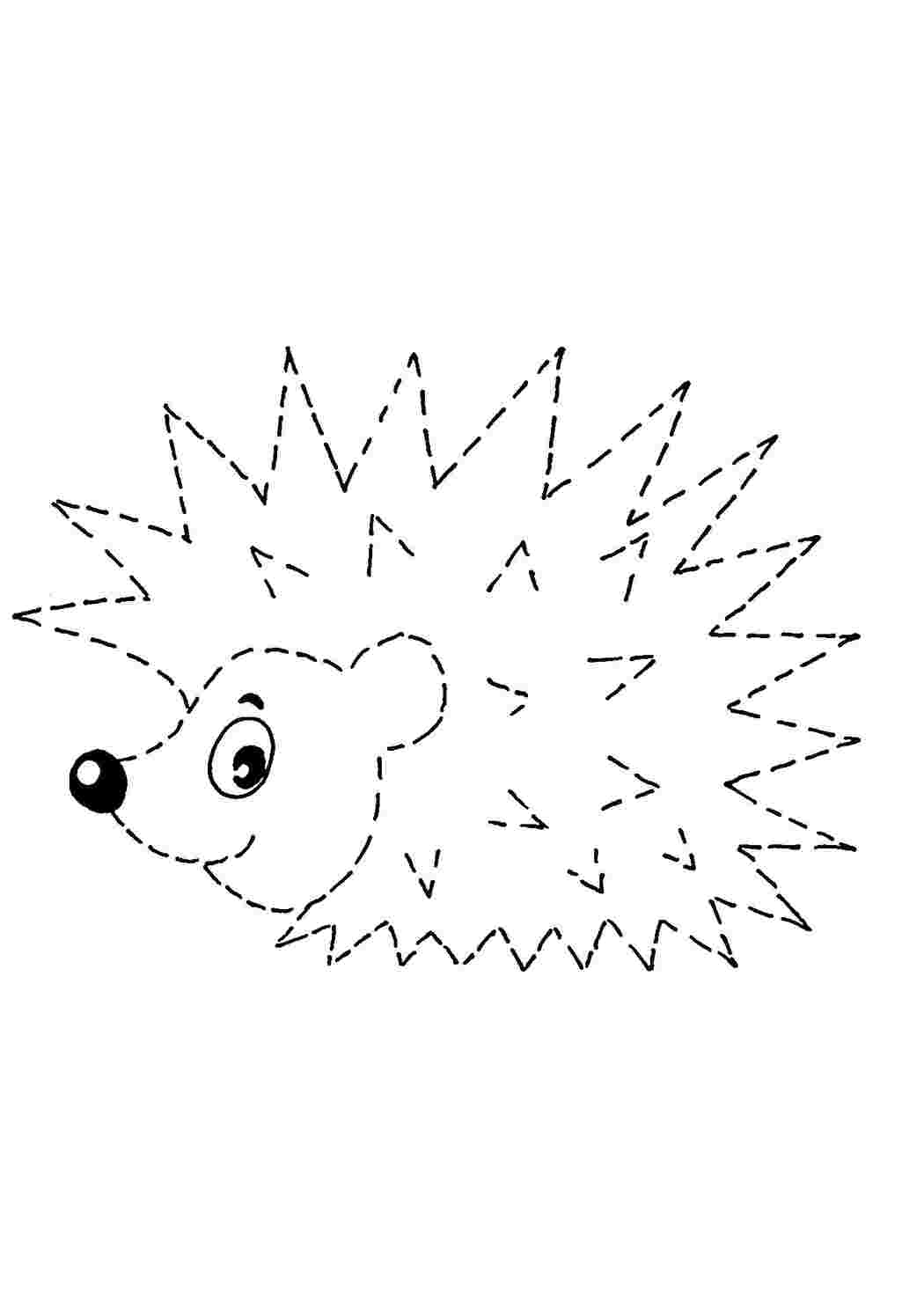 Раскраска Ёжик