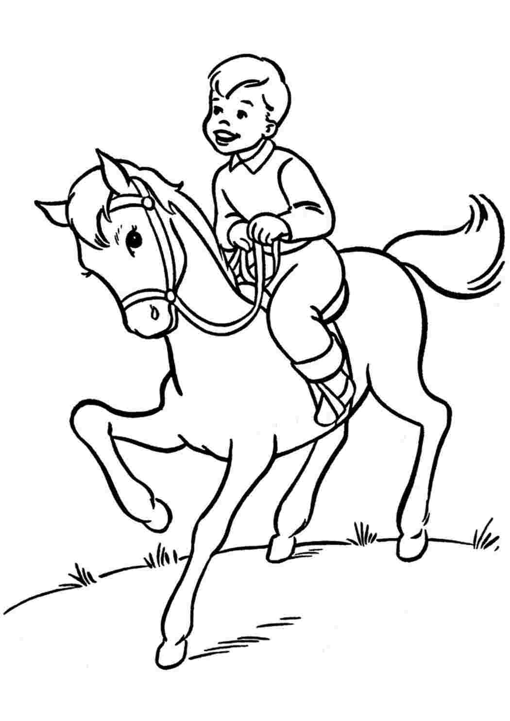 Раскраска человек на лошади