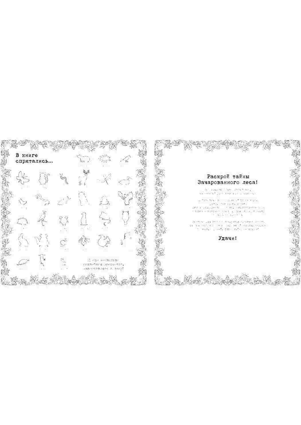 Раскраска Книга