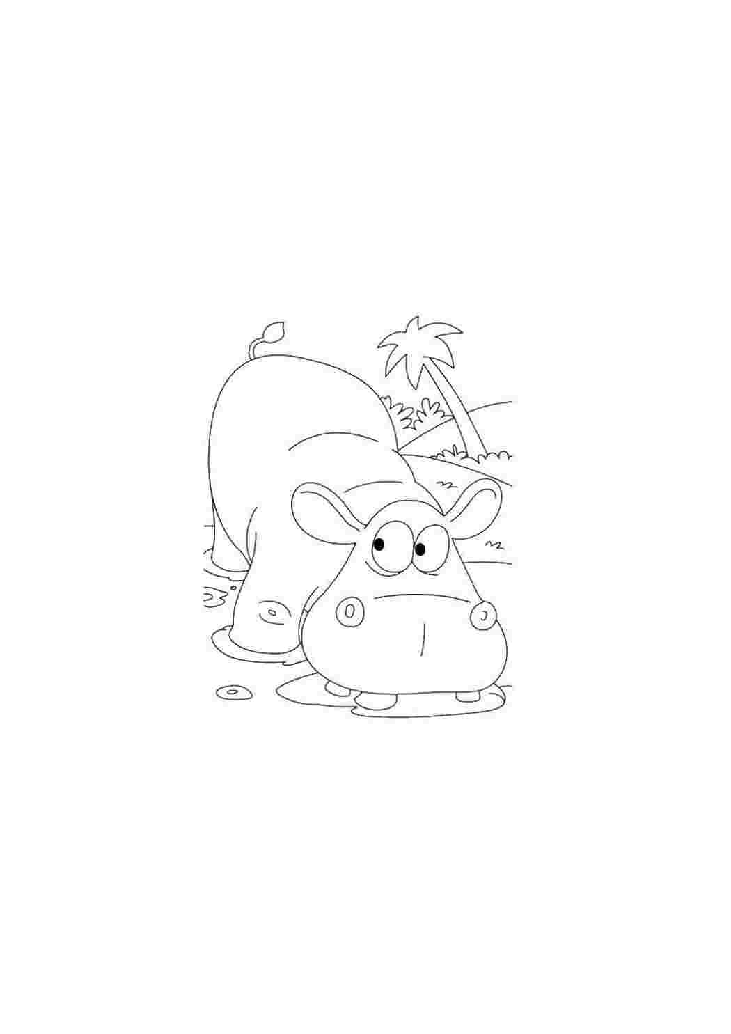 Раскраска Бегемот