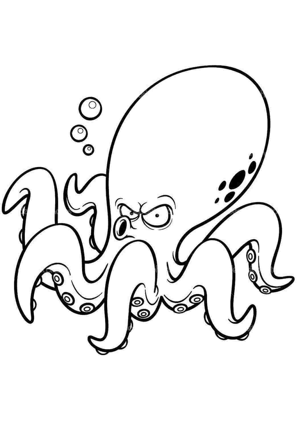 Раскраска Осьминог