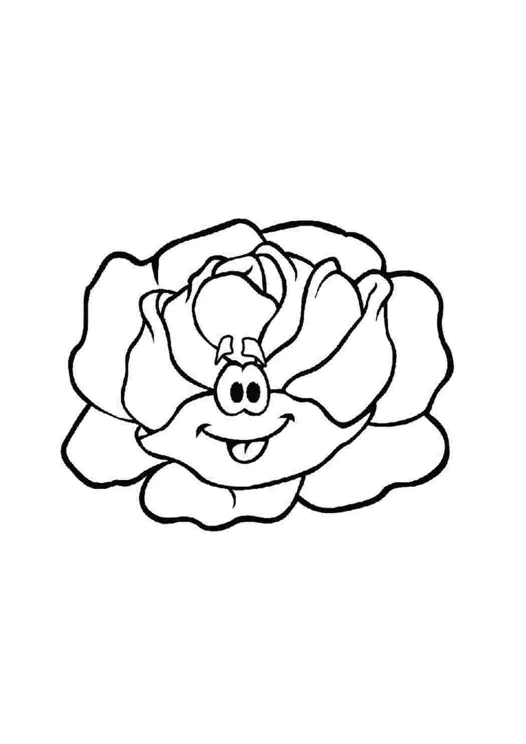 Раскраска Копустка 