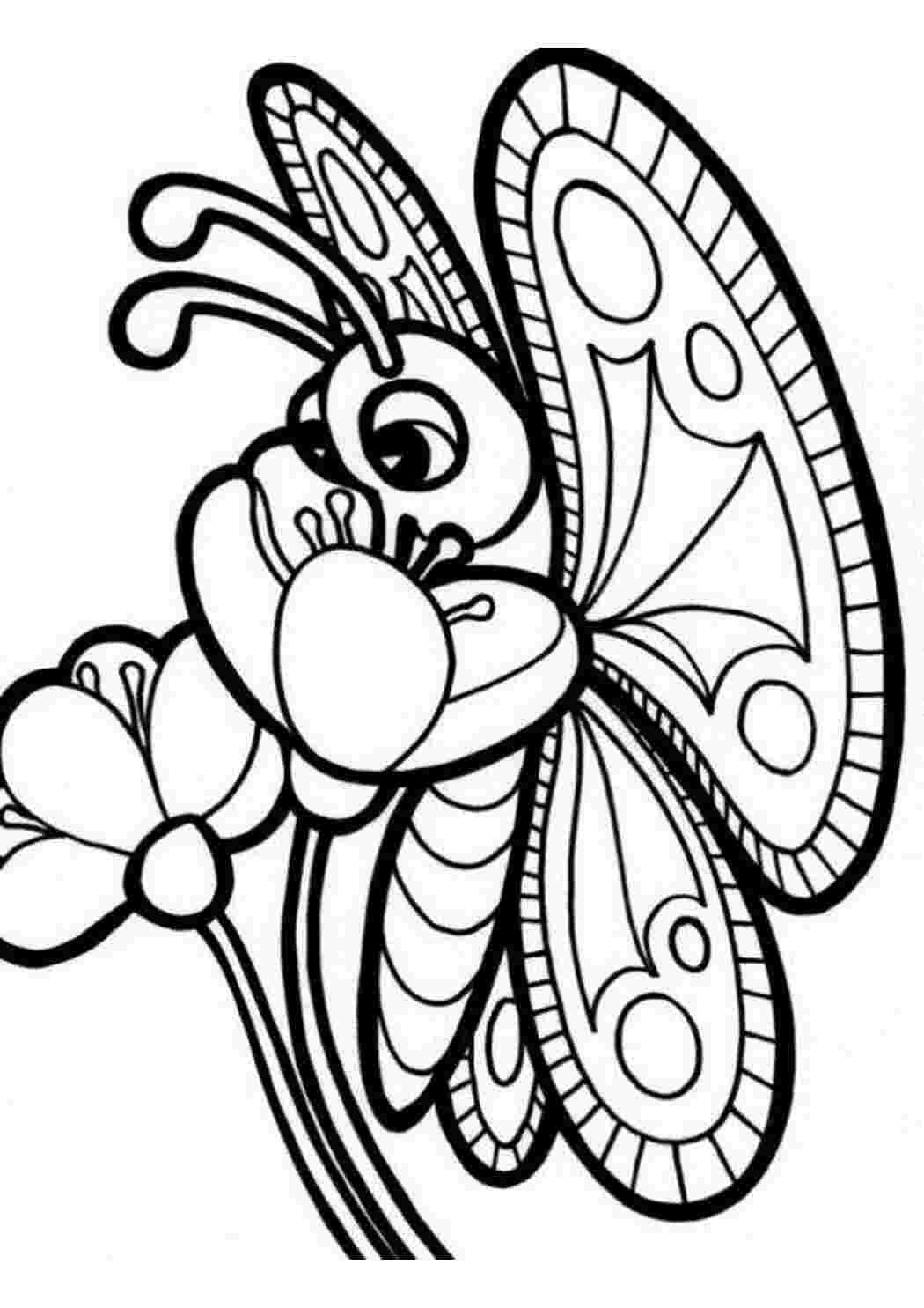 Раскраски для детей 4 5 бабочки. Бабочка раскраска для детей. Цветы и бабочки. Раскраска. Бабочка раскраска для детей 4-5 лет. Раскраска для девочек бабочки.