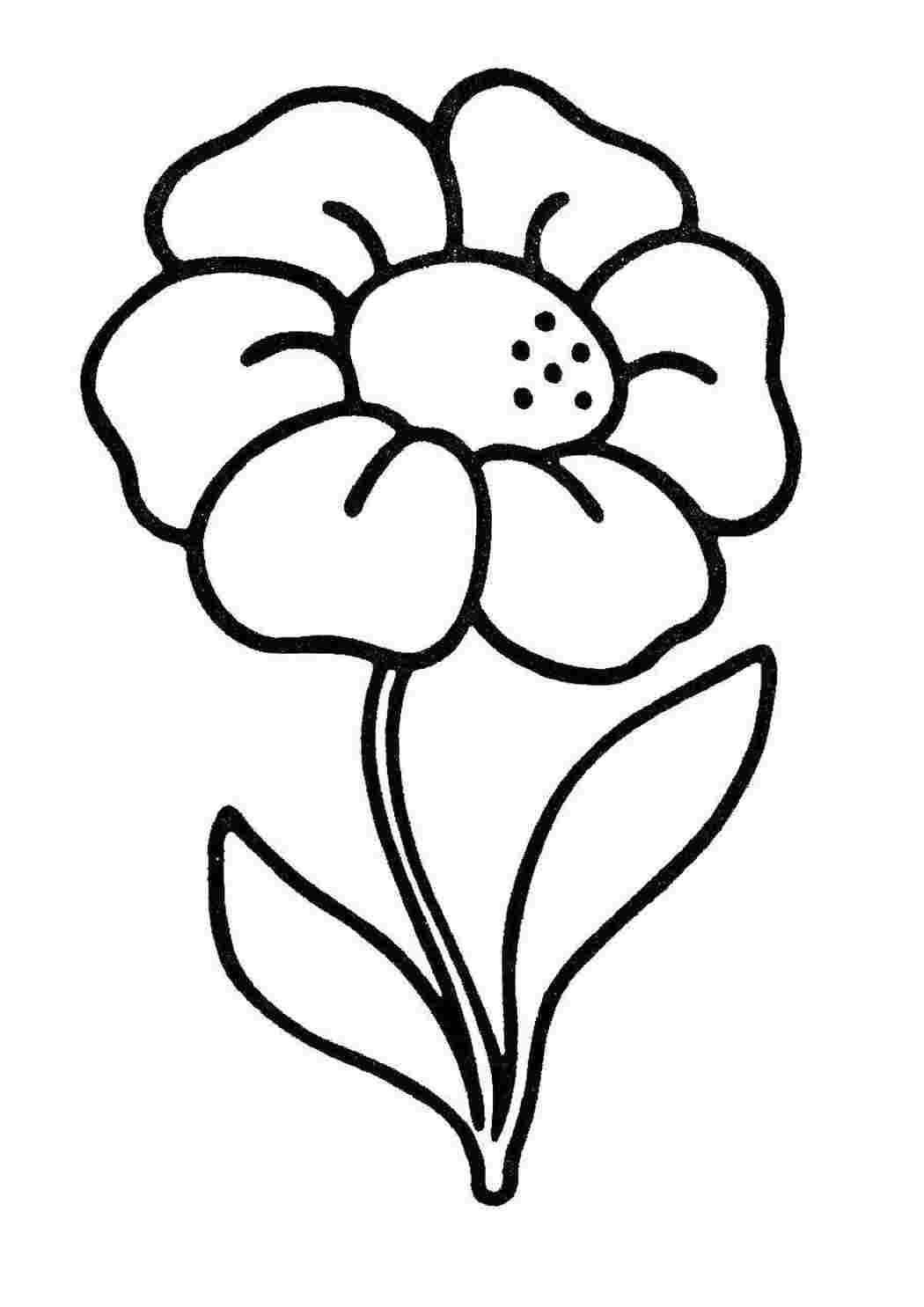 Раскраска Цветочек