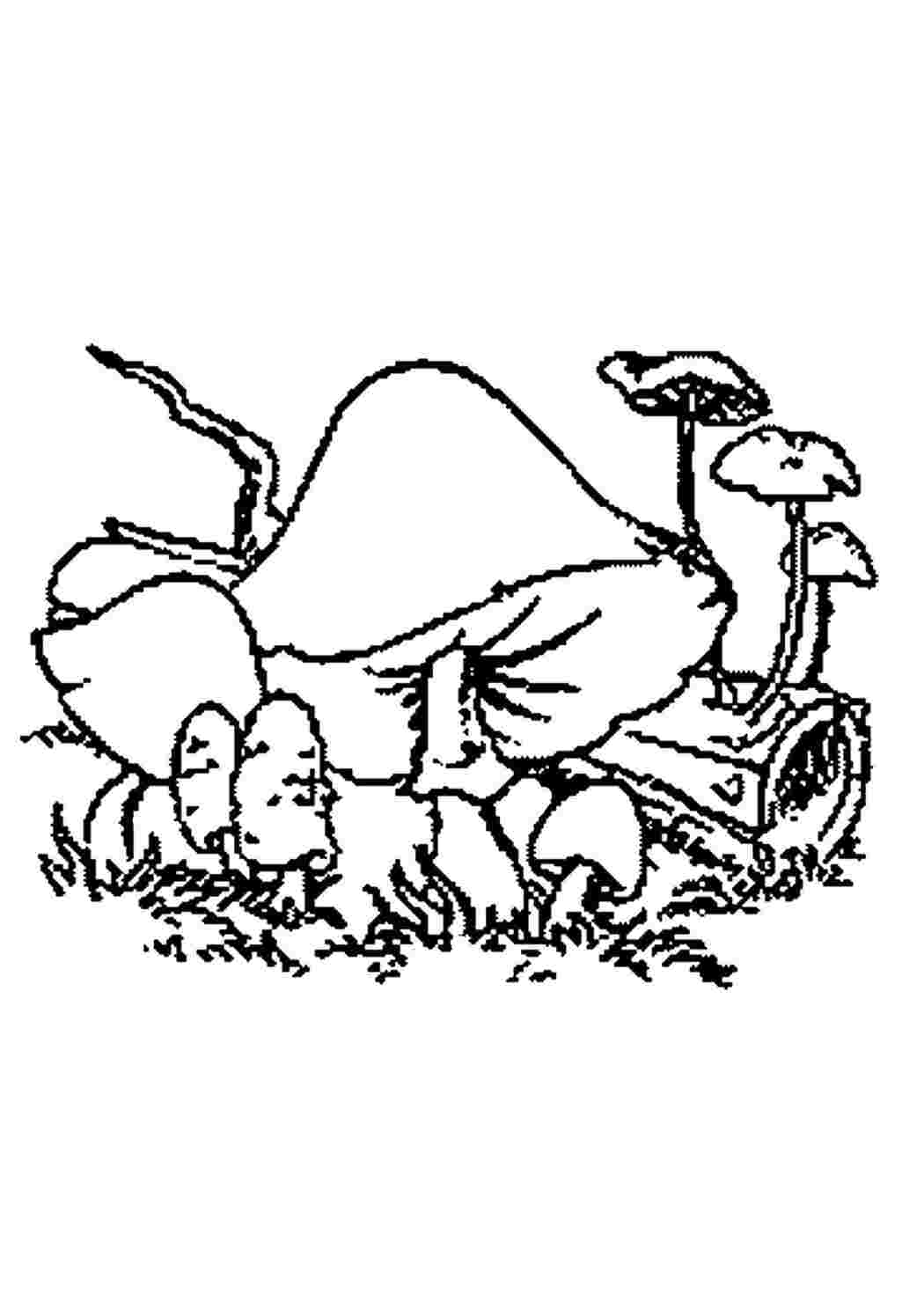 Раскраска Грибочки